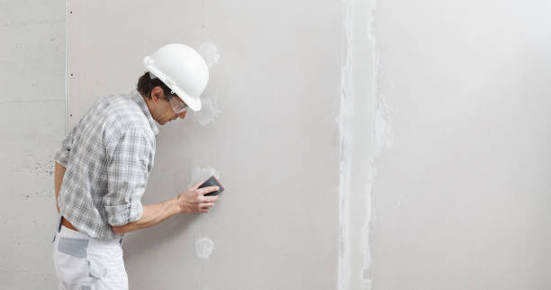 Best Drywall Sanding and Smoothing  in Coleraine, MN